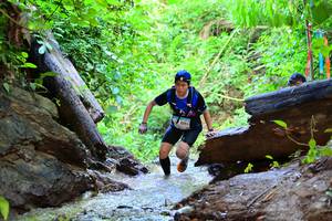 BIB: 6053
                            <button type="button" onclick="openModal(13235810)" class="btn btn-primary btn-sm float-right btn-popup" data-toggle="modal" data-target=".modal-high-quality">
                        <i class="fas fa-shopping-cart"></i> Add to Cart
                    </button>
                                            <button type="button" onclick="isThisMe(13235810, true)" class="btn btn-success btn-sm float-right btn-popup btn-isme hidden" data-toggle="tooltip" data-placement="bottom" title="นี่คือรูปของคุณใช่ไหม คลิกที่นี่เพื่อเอาเข้าอัลบั้ม">
                        <i class="fas fa-plus"></i> Add to album
                    </button>
                    <button type="button" onclick="isThisMe(13235810, false)" class="btn btn-warning btn-sm float-right btn-popup btn-isnotme hidden">
                        <i class="fas fa-ban"></i> Remove from album
                    </button>